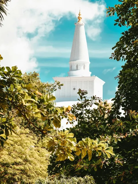 When a "cultured person" in Sri Lanka