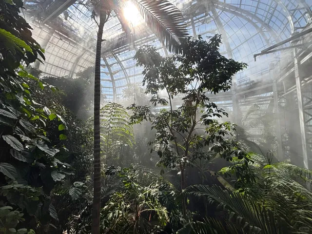 Washington Botanic Garden – A Quick & Refreshing Stroll 🌿  