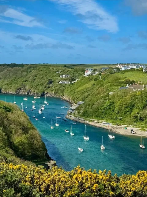 ​​Shouting to the World About This Stunning UK Seaside Park ⛲️​​