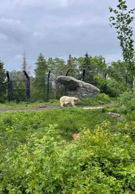 Como Park Zoo & Conservatory 