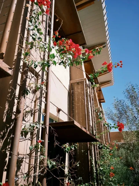 Springs Preserve – Where the Desert Blooms & Smiles Back! 🌸