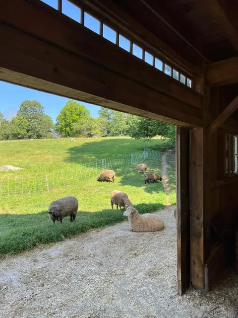 Let’s head to the farm this weekend!