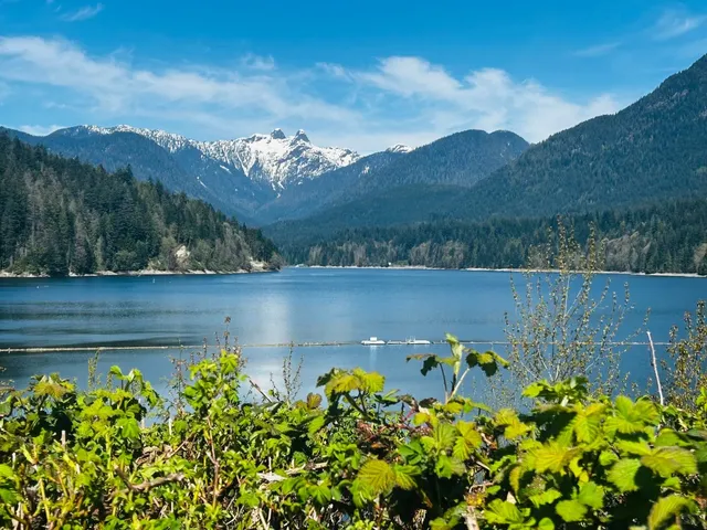 Capilano River Park | Where Salmon Run Meets Mountain Majesty  