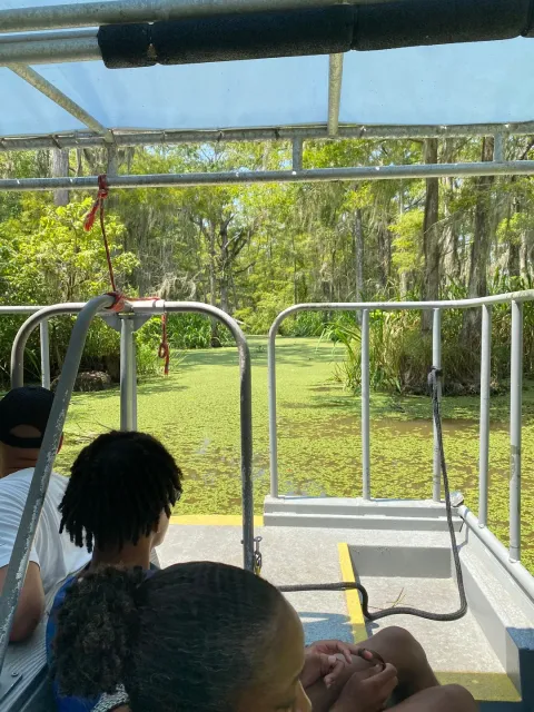 Amazing Swamp Tour! 🌿🐊