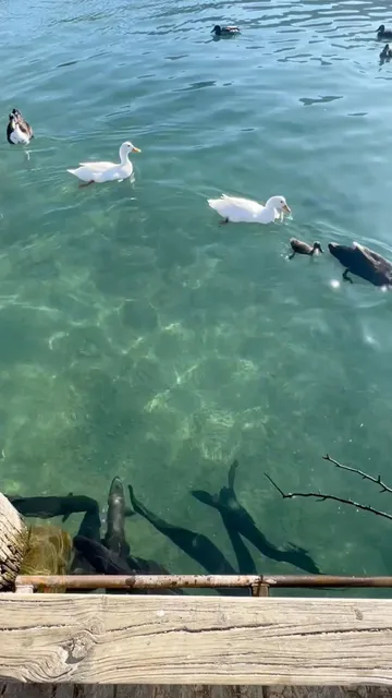 🇳🇿 New Zealand｜Wanaka