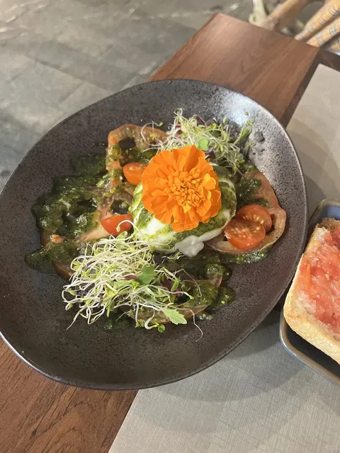 The Ultimate Burrata Salad in Sitges at Bar Tomeu