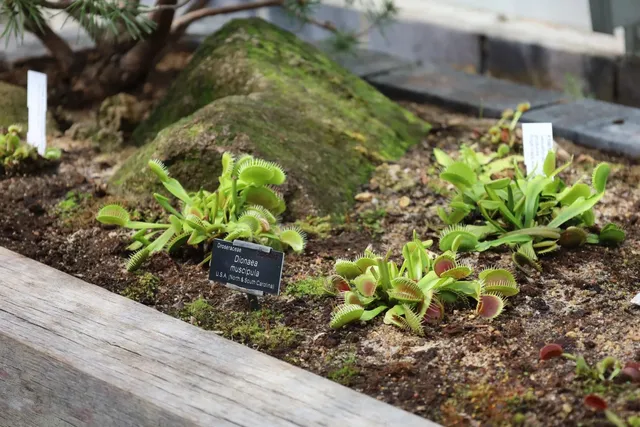 🇬🇧 Oxford’s Best-Kept Secret: A 403-Year-Old Enchanted Garden ✨