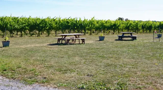 Hermann J. Wiemer Vineyard 