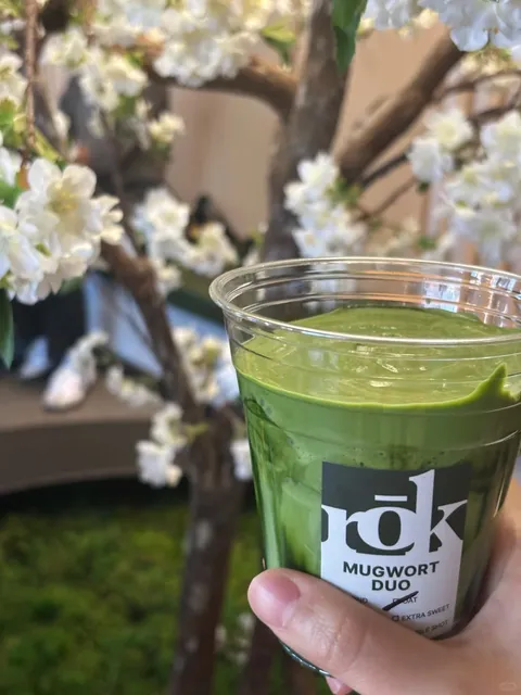 LA’s Rich Matcha Cream Top Spot – rōk in K-Town 🍵✨