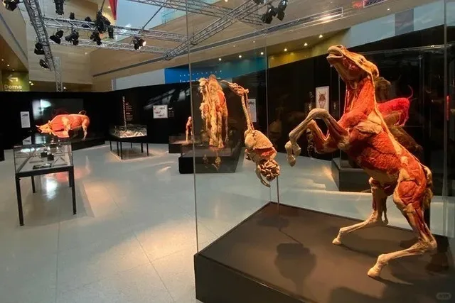 🎓 University Spotlight: University of Alberta (U of A) 🌍🏛️