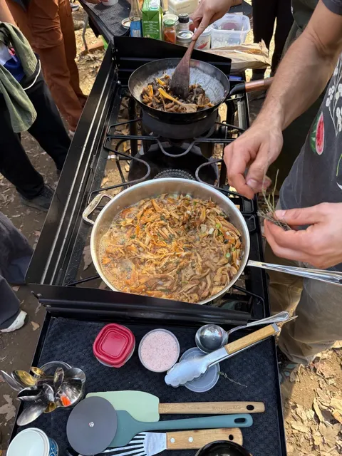 LA Weekend | Topanga Mushroom Tour~