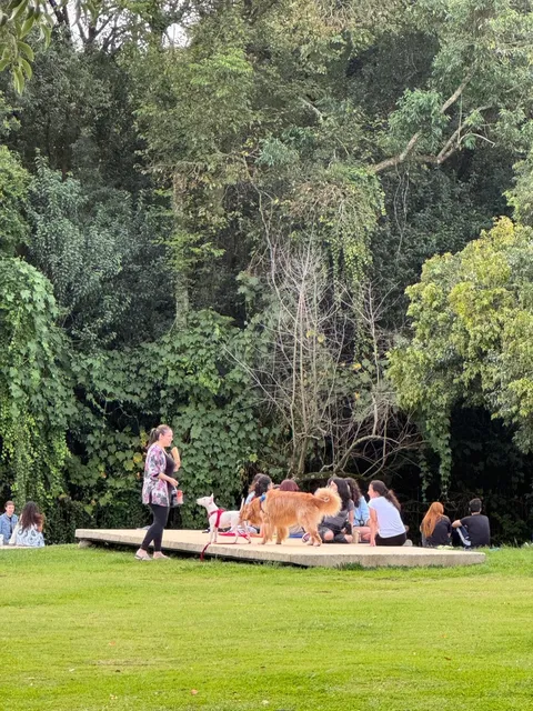 🇧🇷 First Glimpse of Curitiba