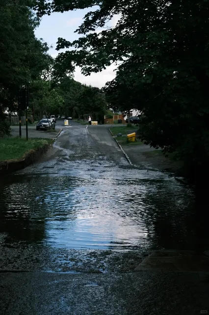 A Must-Visit in Birmingham: The Mysterious Moseley Bog Adventure
