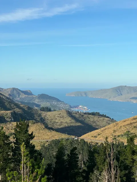 🇳🇿 Christchurch | FREE Gondola Ride + Hike = Epic Combo! 🚠🥾