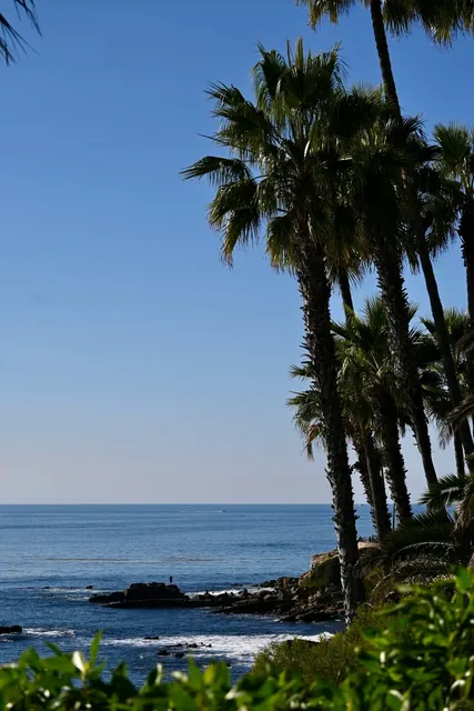 🇺🇸 Los Angeles｜Experience the Cinematic California Vibe in One Trip!