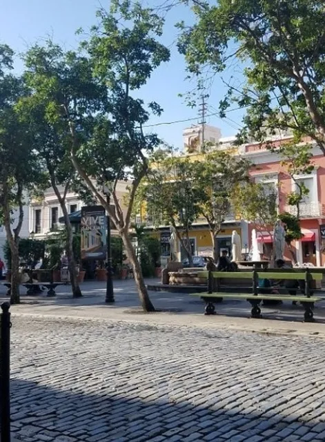 A Great Spot for Leisure in the Square