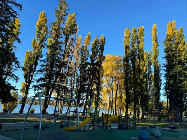  Live Unedited Shots + Photo Spots Inside! 🇳🇿✨  