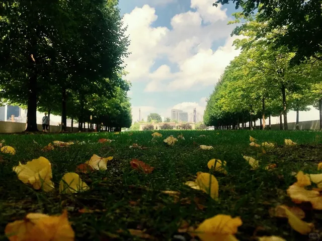 New York Exploration: Roosevelt Island 🌟