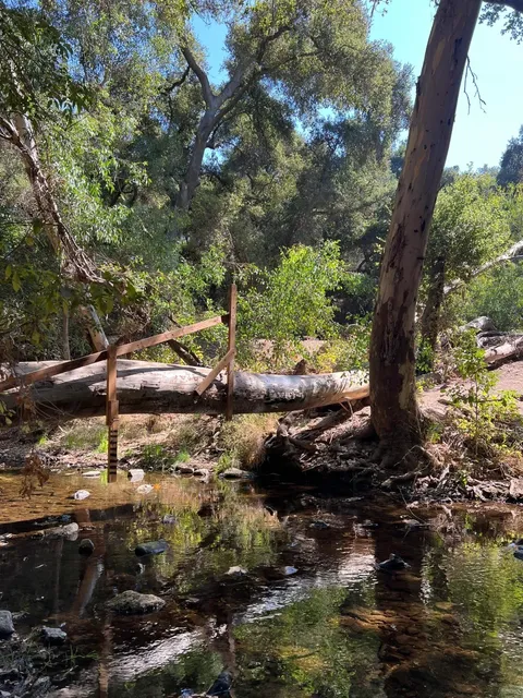 LA Nature｜Michael D. Antonovich Trail ⛰️🌞