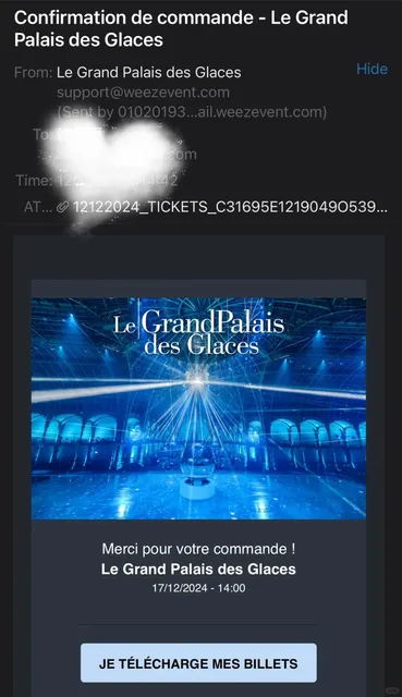 Paris Edition of Frozen! Grand Palais Skating Experience + Tips ❄️