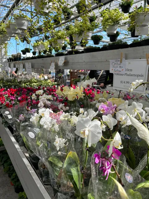 Abbotsford Nursery & Thrift-Hop 