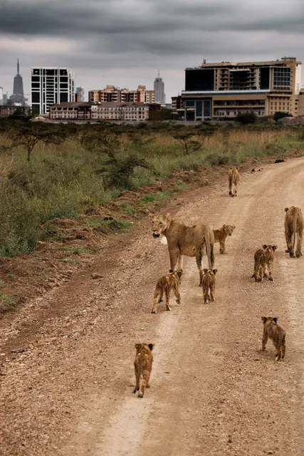 The Saddest Moment of My Kenya Trip 💔