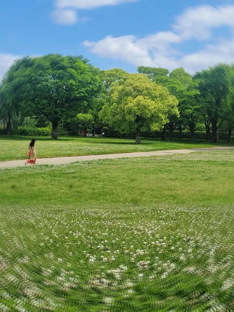 Osaka: Stumbling into a Spring Like a Oil Painting (1) 🌸