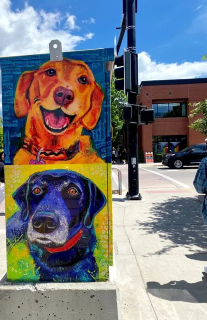  Bozeman Streets & Grotto Falls