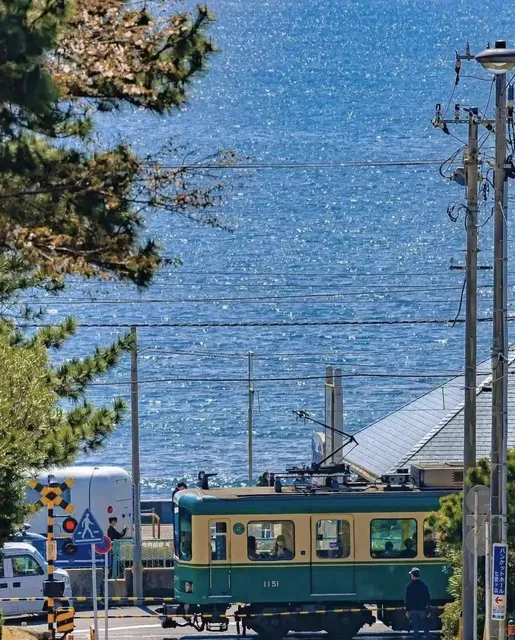 🔴Izu  Delicacies: 🍣