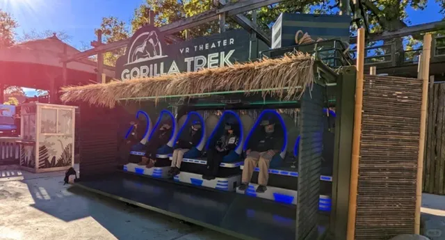 🐼 San Francisco Zoo’s Giant Panda Saga: A Rollercoaster Journey 🎢