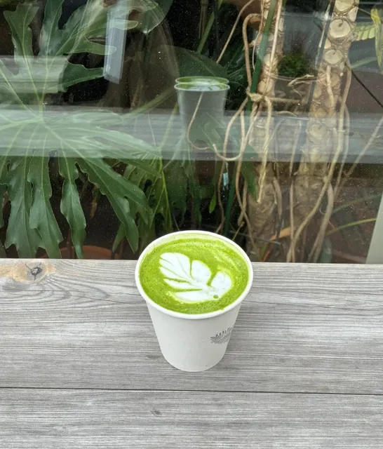 ☕ Faro Café: Cambridge’s Cozy, Laptop