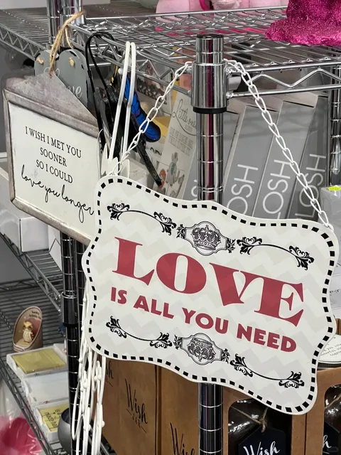 Hamilton CBD | A Chilled Stroll Through the Little City 