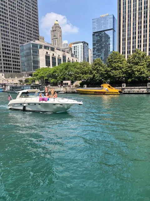 🌿🚤 Summer on the Chicago River: Where Skyscrapers Meet Serenity 