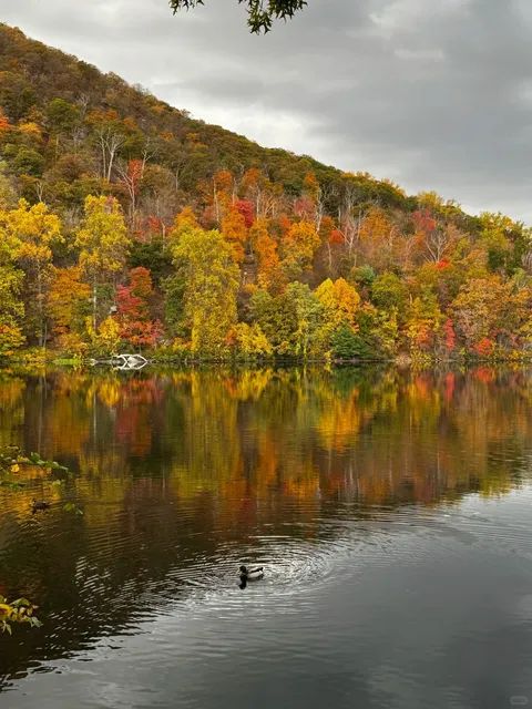 Autumn Foliage Trip Near NYC｜Bear Mountain Is Absolutely Breathtaking 