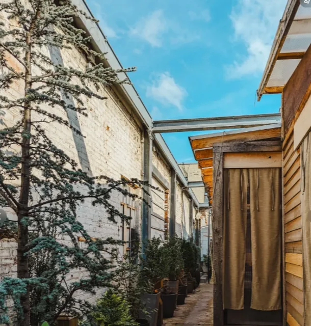 Japanese vs. American Brunch: A Tough Choice 🌟