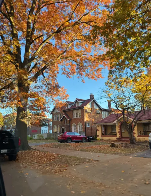 St. Louis | Gorgeous Maple Leaves Near Campus 🍁