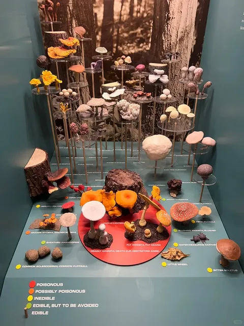 📍 Harrisburg | Pennsylvania’s Hidden Gem!