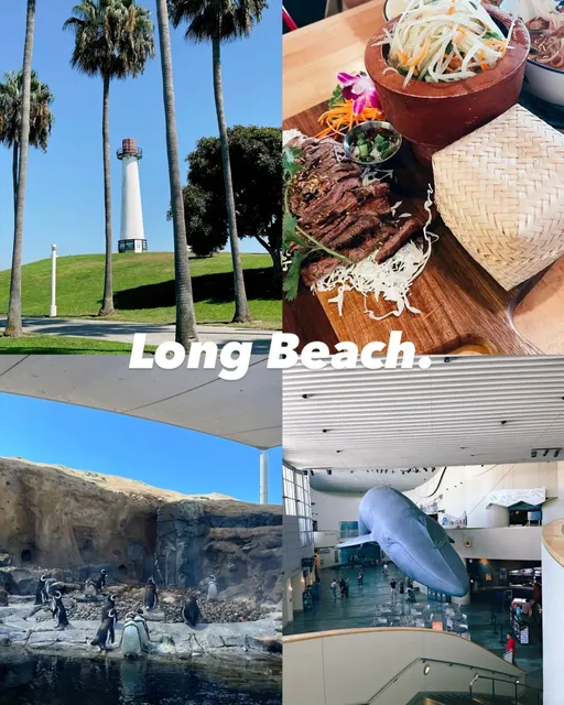 🐠🪼🐋 Long Beach Aquarium Day Trip 🐠🪼🐋