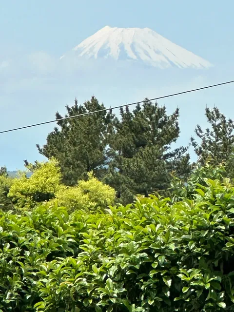 photo-2