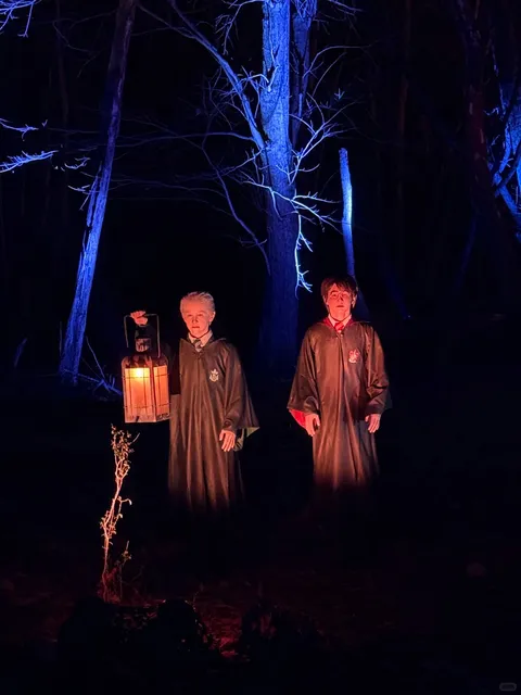 DMV New Activity | Harry Potter Forbidden Forest 🌳