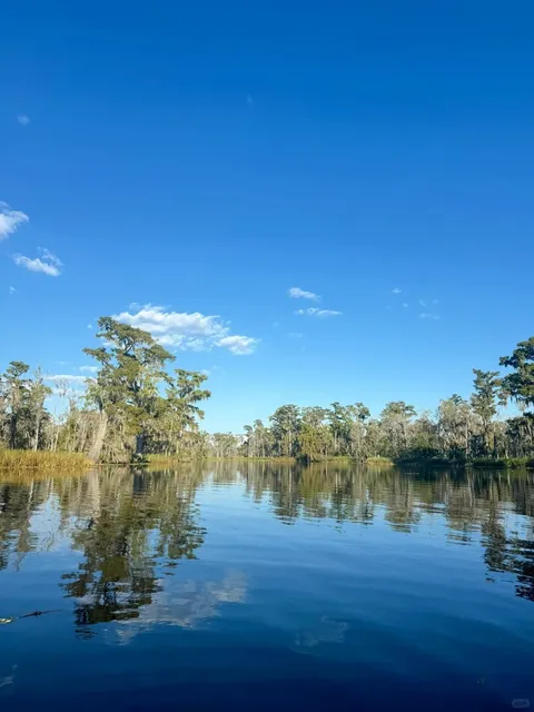 New Orleans｜A Southern French-Style Dream