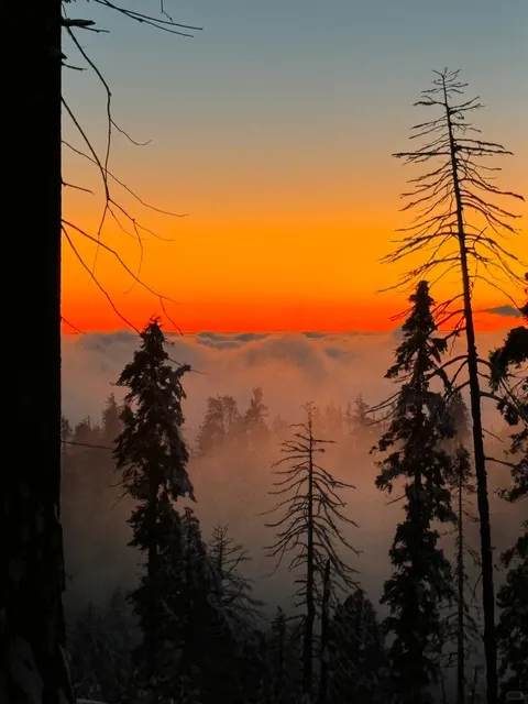 Sequoia National Park, USA