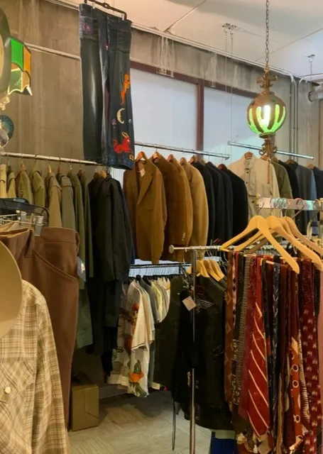 Vintage Vortex Savannah 🌀