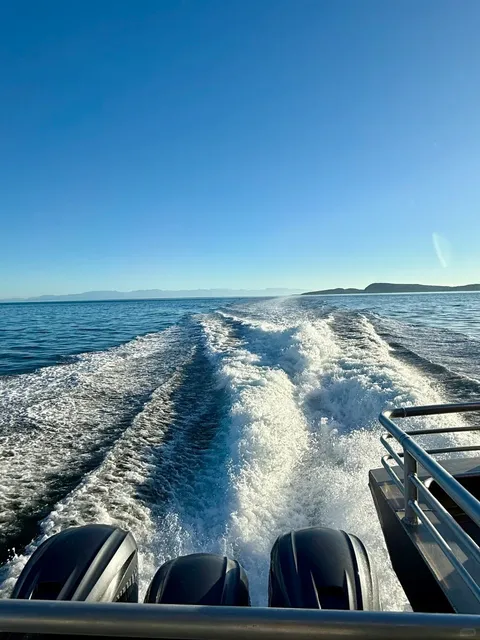 Anacortes - Where Orcas Dance on the Horizon 🐋✨  