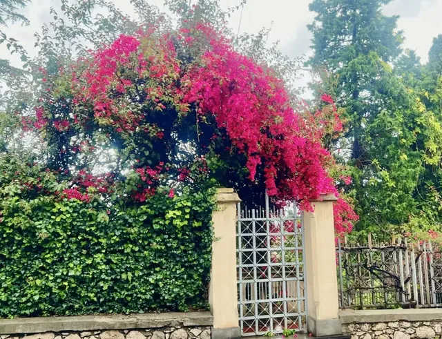  Taormina's Gelato Revelation: Don Peppinu