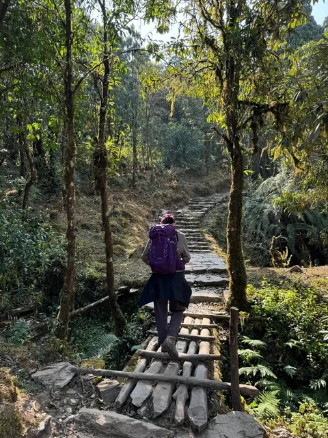 Pokhara Australia Camp Half-Day Hiking Guide