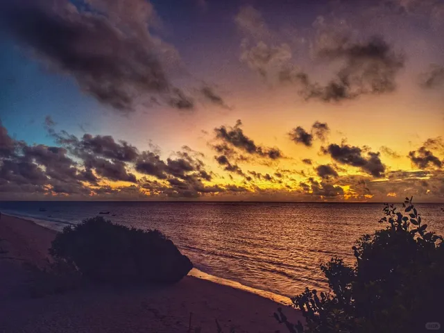 Let’s Return to Diani One More Time 🌴