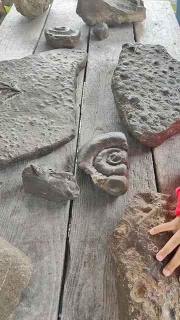 🇨🇦 Journey Back 500 Million Years at Bonnechere Caves ⏳✨