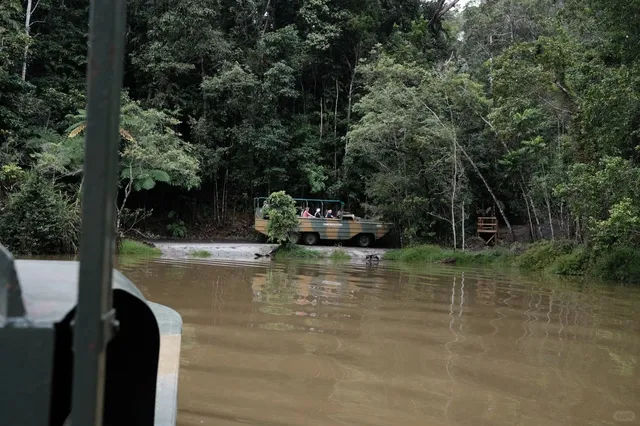 🇦🇺 Cairns | Kuranda Rainforest Adventure 🌿🚡