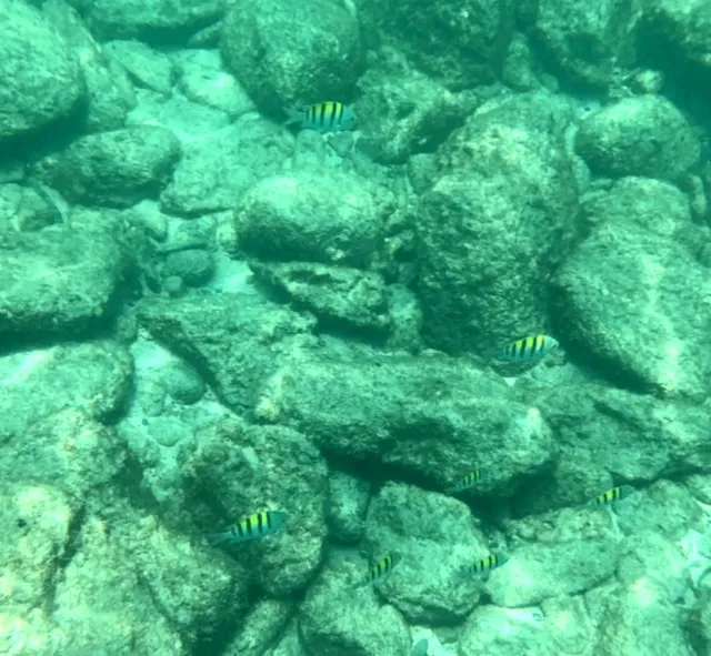 Panama Pearl Islands Mini Escape | Island Hopping in a Day ✨🏝️